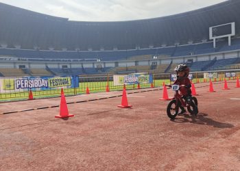 Rayakan Kebersamaan dan Keceriaan di GBLA Bersama Persib Day Festival